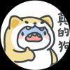 舒泽