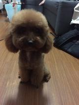 许蛋蛋