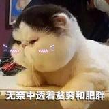 Octpurple_倩