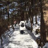 海兔泡泡