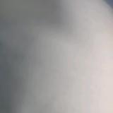书友97629