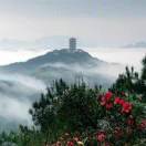 姚建荣