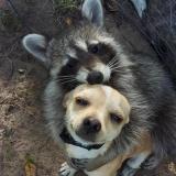 t_1504406507574_0480