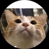 飖飖宝