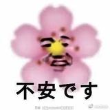 超级精选