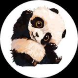 咕咪是最赞的小猫