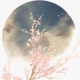 浅默ㄨ淡殇