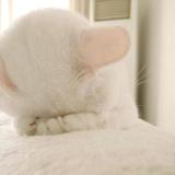 出て行って欲しくない