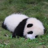小郭子棒棒哒
