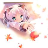 11380殷殷