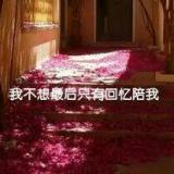 迷你小小人1231