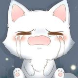 哭泣的猫咪 喵
