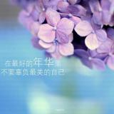骄傲米虫