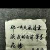 镜花水月