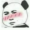 夜猫子