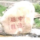 无泪