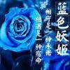 優慯の蓅哖