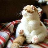 带我飞～