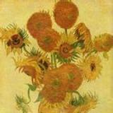 跟着心走会有彩虹