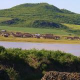 wakinsut
