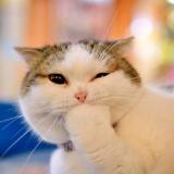 卐迷糊の状态み