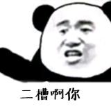 韶华倾负-红木