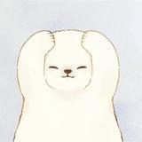 小虾小瑕