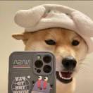 书友46660