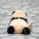 书友56126