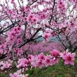 慕媱