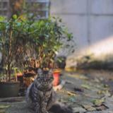 荒原来客