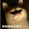 不行这名字必须改！