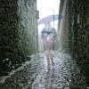 黑白雨天打湿了衣