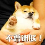 三八线以北不要命三八线以南不要脸