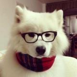 woniutaob