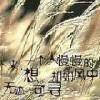 书友99149