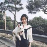 绯