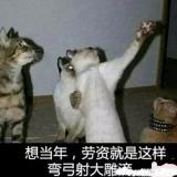 你的大可爱