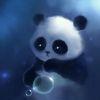 【杰哥】胡鹏杰