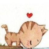 猫爱上鱼0711