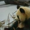 天影疾风