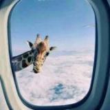 不爱那么多介爱一点点