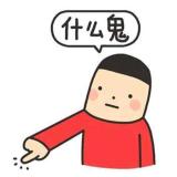 书虫
