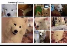 2⃣️0⃣️1⃣️6⃣☝