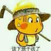 书友66986