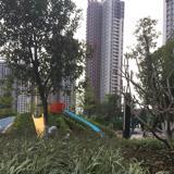 爱笑的玲珑贝
