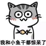 愿无岁月可回头✨✨
