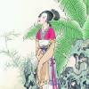 木之乔