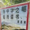 该丨