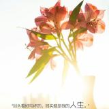 小张同志b